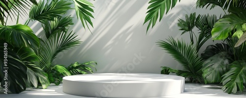 White Platform in Lush Gree...