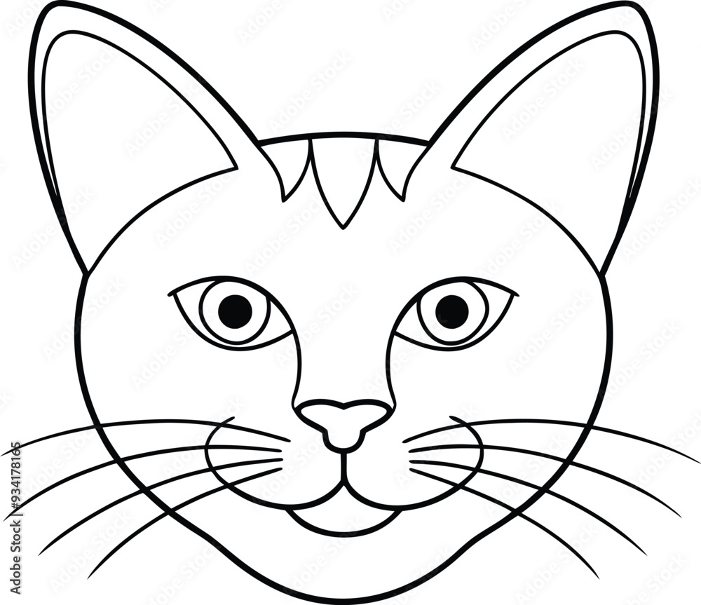 black and white cat face black and white cat face