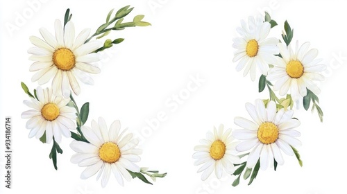 Watercolor daisy wreath clipart featuring hand painted chamomile flowers and frames isolated white meadow flowers suitable for various celebratory occasions