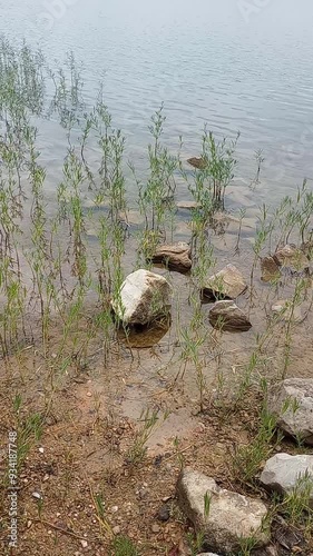 The gentle lapping of waves against the rocks and weeds along the lake's edge creates a truly tranquil and calming atmosphere.