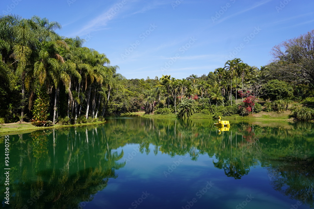 Pedalinho Lago Plantas Ornamentais e Jardins Pedalinho Lago Plantas Ornamentais e Jardins