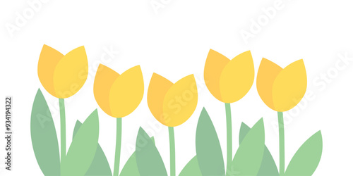 Yellow tulip flower border decoration. Plant, natural, blossom, floral, garden concept. Flat vector design isolated illustration on white background.