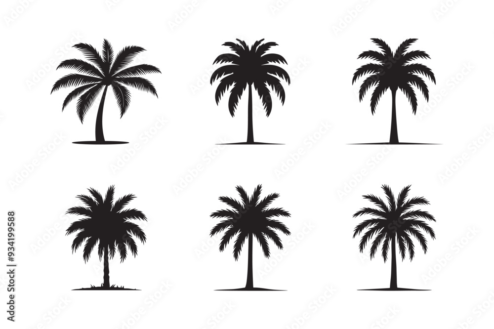 Black palm set icon tree isolated on white background. Palm icon silhouettes. Design of palm tree Black palm set icon tree isolated on white background. Palm icon silhouettes. Design of palm tree
