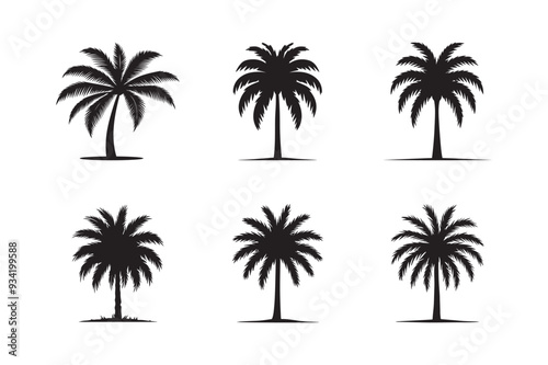 Black palm set icon tree isolated on white background. Palm icon silhouettes. Design of palm tree	