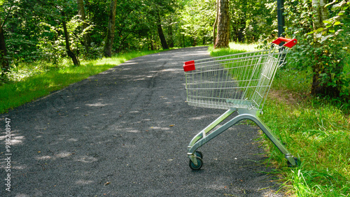 cart store market business shop supermarket purchase sale trolley timber shopping buy wood photo