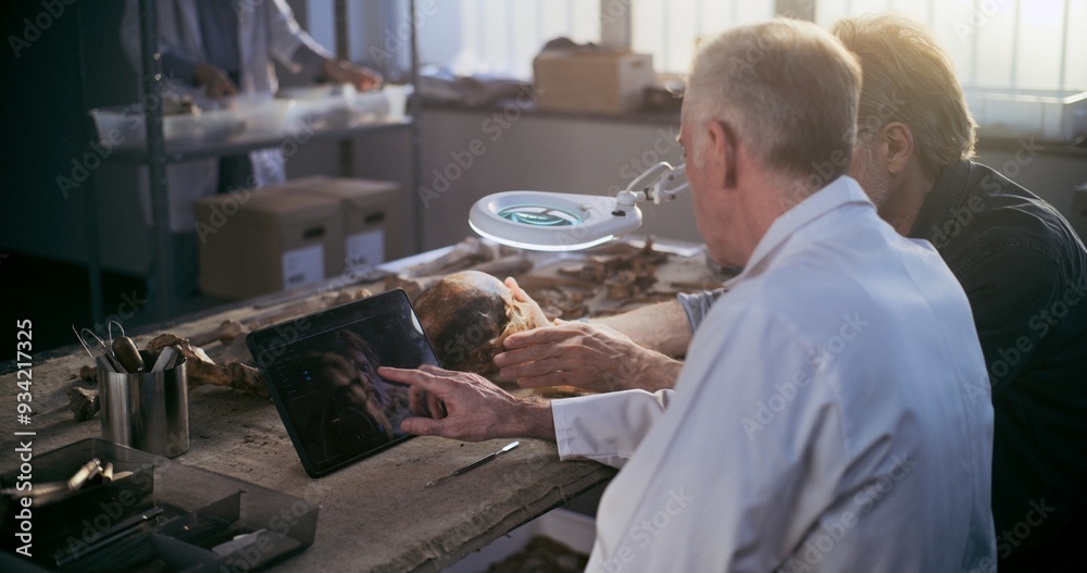 Archaeological lab: Two researchers or scientists examine fossil skull under lamp, discuss 3D model and visualization of prehistoric extinct human head displayed on digital tablet computer screen. Archaeological lab: Two researchers or scientists examine fossil skull under lamp, discuss 3D model and visualization of prehistoric extinct human head displayed on digital tablet computer screen.