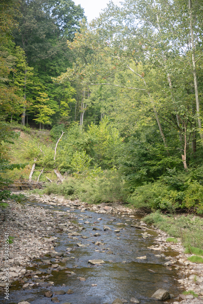 View of forest with creek near Cleveland Ohio View of forest with creek near Cleveland Ohio