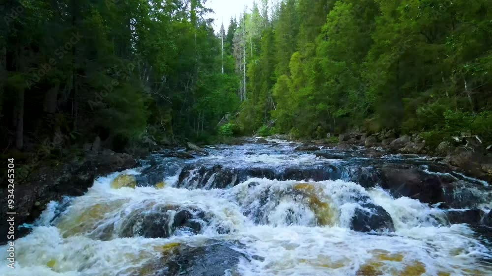 River In The Forest 4K