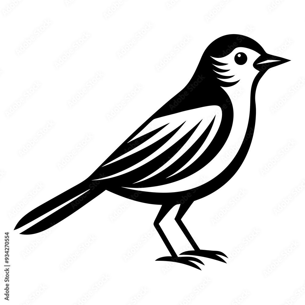 illustration of a bird illustration of a bird