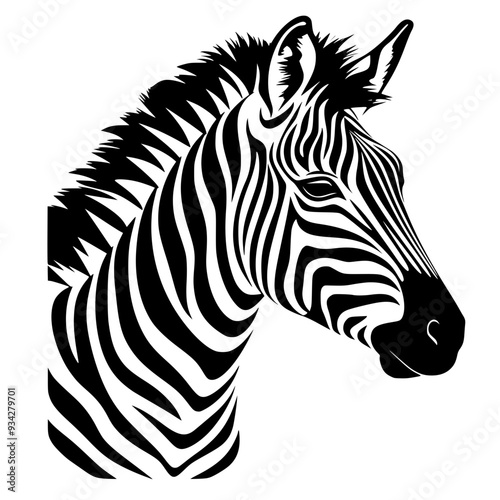 Zebra Vector