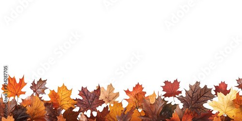 Feuilles d'Automne en Bas, Espace pour Texte