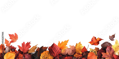 Feuilles d'Automne en Bas, Espace pour Texte