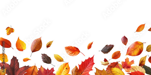 Feuilles d'Automne en Bas, Espace pour Texte