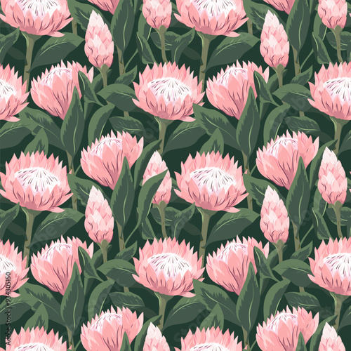 Floral bright seamless pattern with pink protea flowers. Repeatable background with sugarbush blooming flowers. Flat vector design for fabric, textile, prints, wallpaper, covers