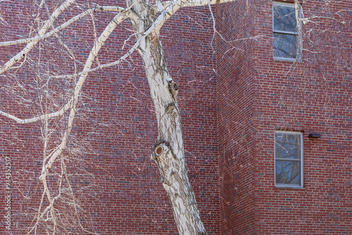 Memorial Plaza, College Of The Holy Cross, College Hill, Worcester, Massachusetts, USA,  photo