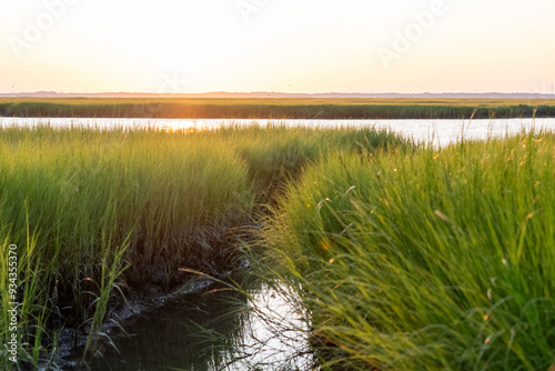 Photos Avalon, New Jersey - The salt marsh in between Avalon New Jersey and Cape May National Wildlife Refuge at sunset