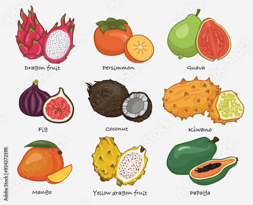 Collection of tropical fruits on white background. Mango, Dragon fruit, Papaya, Kiwano, Guava, Fig, Coconut, Yellow dragon fruit, Persimmon. 