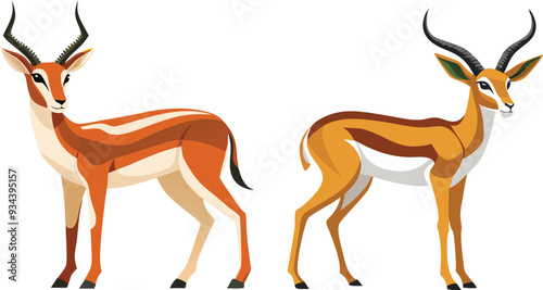 springbok vector art illustration vector illustration 
