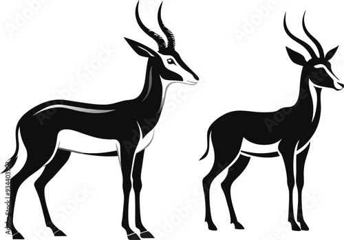springbok vector art illustration vector illustration 
