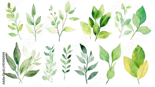 Watercolor illustration collection featuring green leaves