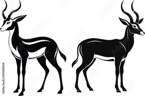 springbok vector art illustration vector illustration 