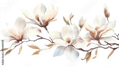 Watercolor illustration of a magnolia bouquet for weddings