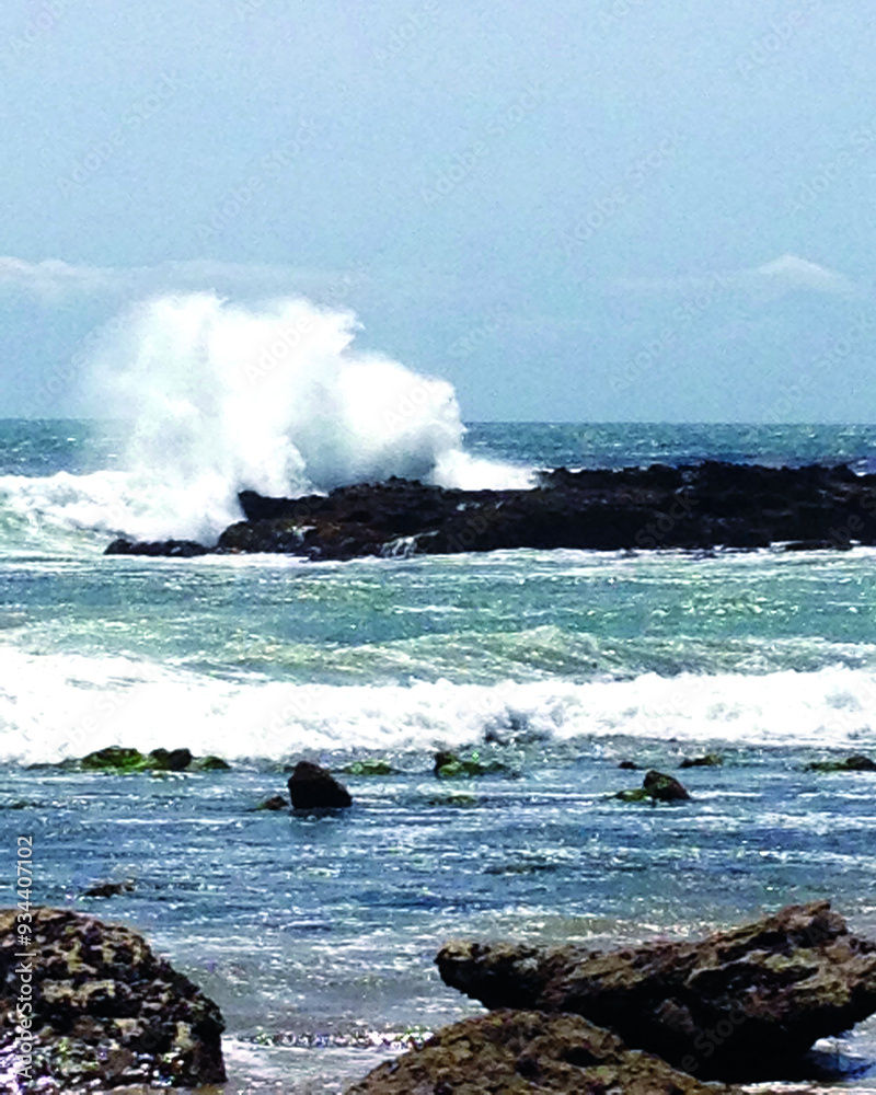 Wave Crashes Wave Crashes