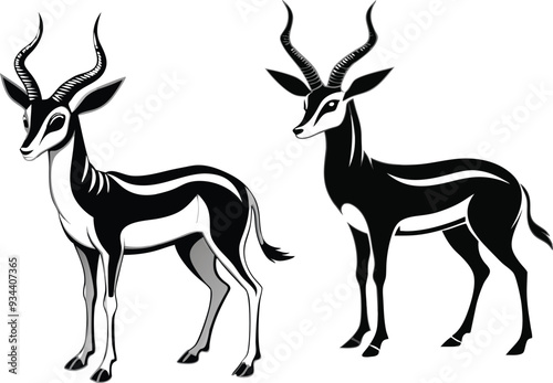 springbok vector art illustration vector illustration 