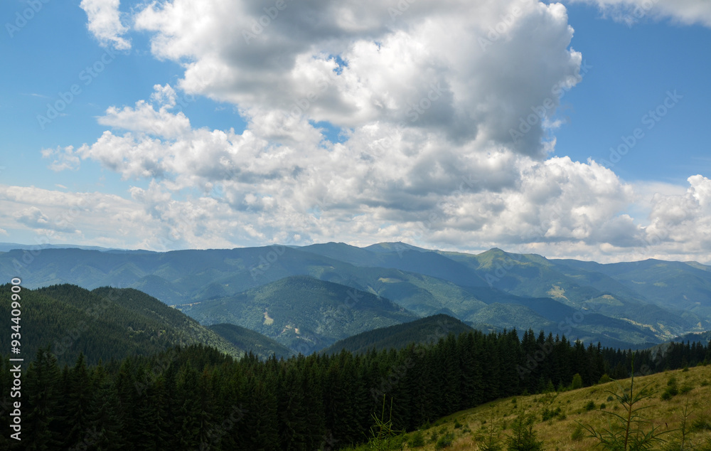 Picturesque landscape featuring a grassy hill in the foreground, leading to densely forested mountains under a partly cloudy sky. Carpathians, Ukraine Picturesque landscape featuring a grassy hill in the foreground, leading to densely forested mountains under a partly cloudy sky. Carpathians, Ukraine