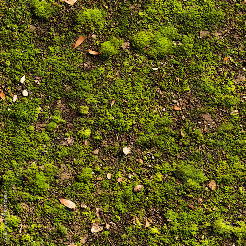 seamless mossy forest ground texture tile top view moss green natural lawn ground for surface mapping architecture game design 2d flat