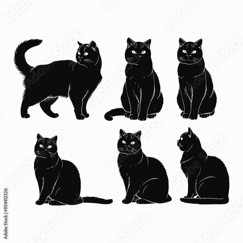 British Shorthair silhouette vector template cat illustration