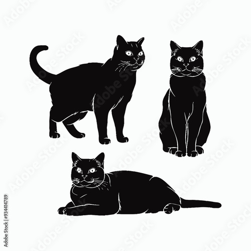 British Shorthair silhouette vector template cat illustration