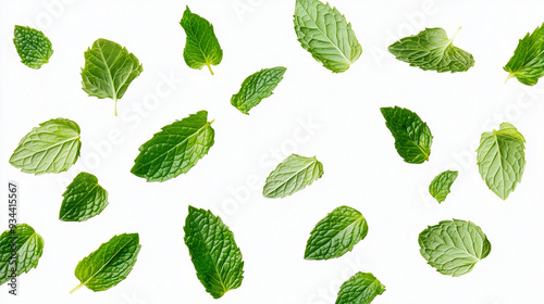 set of green leaves