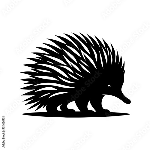 Echidna silhouette, vector black color silhouette