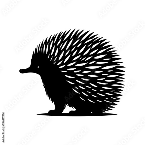 Echidna silhouette, vector black color silhouette