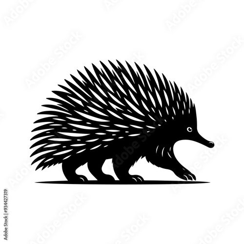Echidna silhouette, vector black color silhouette