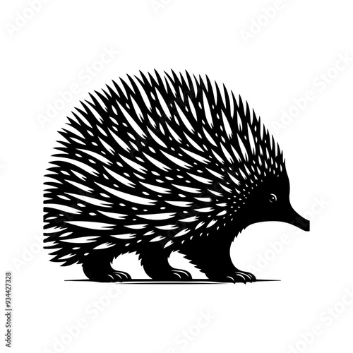 Echidna silhouette, vector black color silhouette