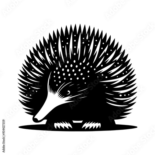 Echidna silhouette, vector black color silhouette