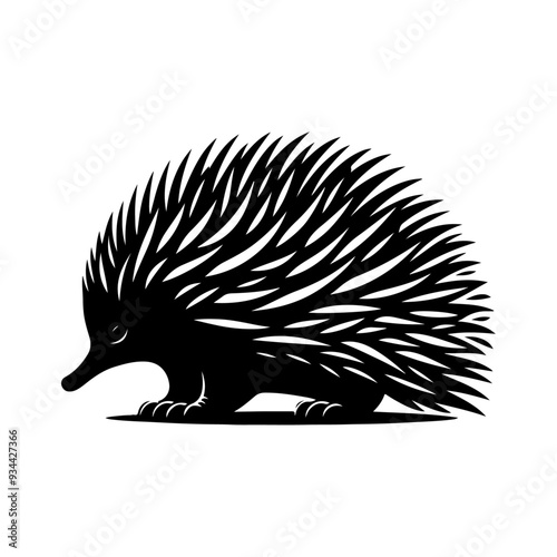 Echidna silhouette, vector black color silhouette