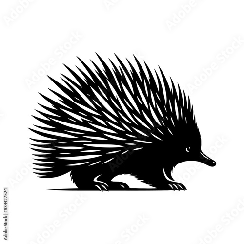 Echidna silhouette, vector black color silhouette