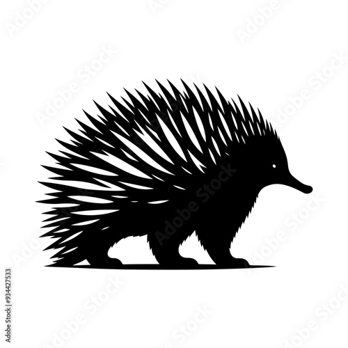 Echidna silhouette, vector black color silhouette