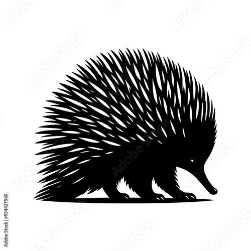Echidna silhouette, vector black color silhouette