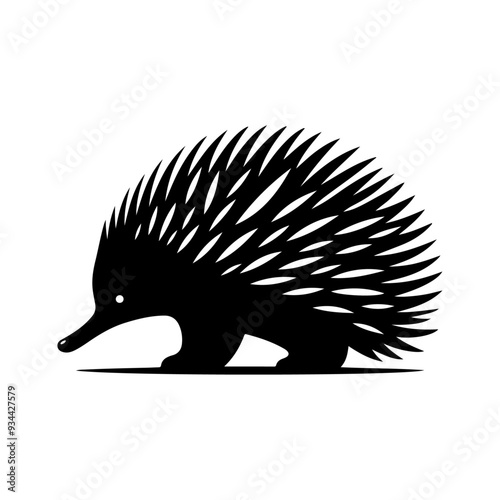 Echidna silhouette, vector black color silhouette