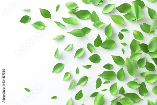 Isolated green leaves flying and falling on background, tropical leaf for border element, fresh foliage, organic herbs in a wave and swirl shape.