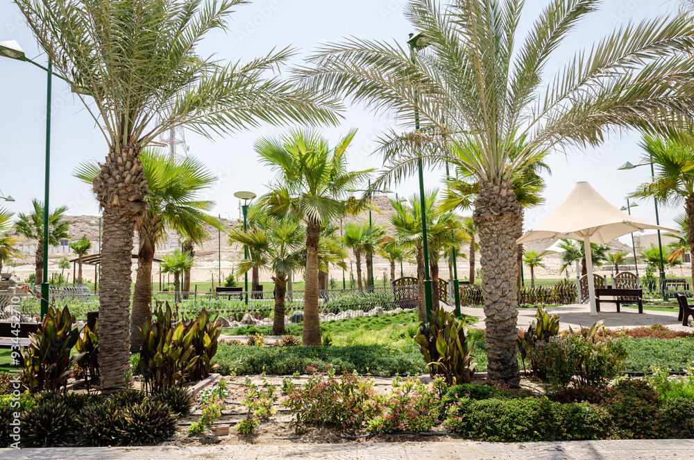 Obraz premium Landscaping in a park