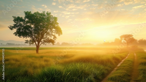 Free good morning scene wallpaper background photo