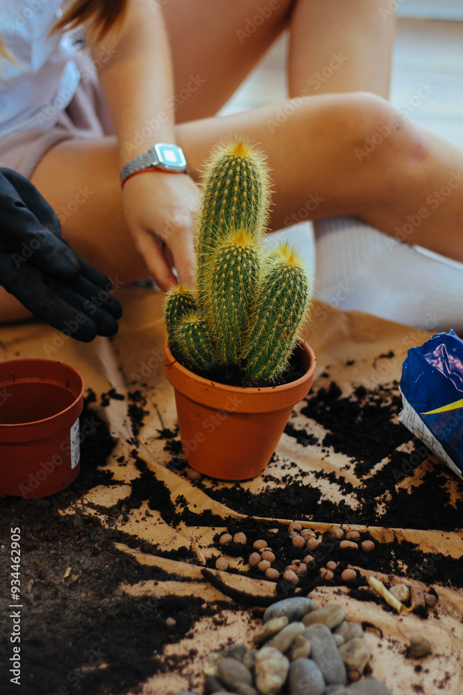Planting a small cactus in a terracotta pot, surrounded by soil and pebbles, depicting the meticulous care in creating a home garden.