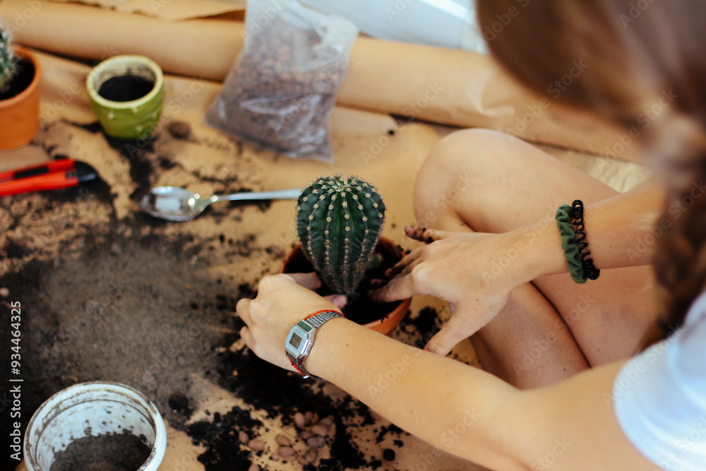 Close-up of hands planting a cactus, surrounded by soil and garden tools, promoting the simplicity and joy of home gardening.