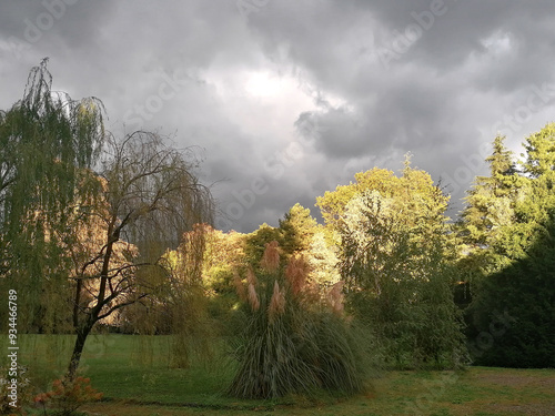 Vista di un parco paesaggistico prima di un temporale.  photo