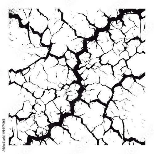 Fissures in the ground, fractures in the wall, or split lines in the concrete. Vector fracture pattern on a background of a wall. White background. 
